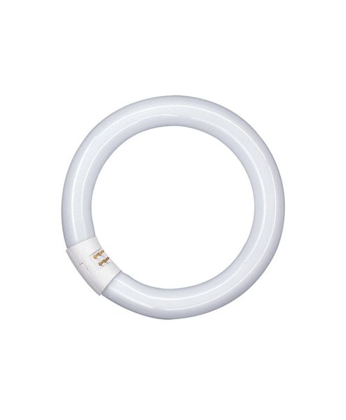 Lumilux t9 circulaire L 32w/865 c g10q - 581167