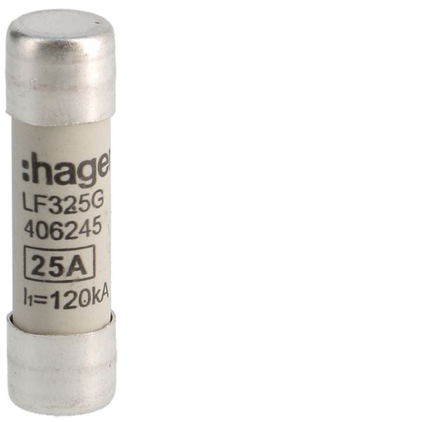 Cartouche Fusible cylindrique 10x38mm gG 25A 500V AC 120kA LF325G
