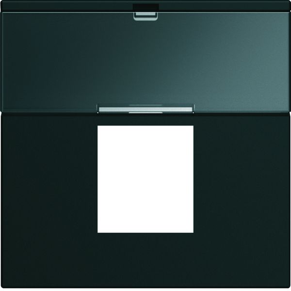 Enjoliveur Gallery prise RJ45 avec porte étiquette 2 modules, finition Night WXD206N