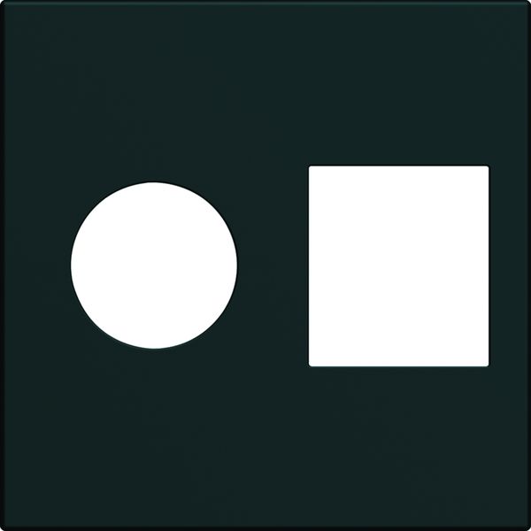 Enjoliveur Gallery prise TV + RJ45 2 modules, finition Night WXD240N