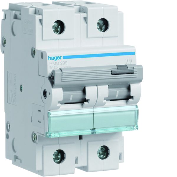 Disjoncteur 125A 2P 15kA Courbe B 3modules HMB299