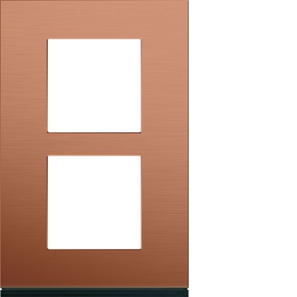 Plaque de finition Gallery 2 postes Copper alu verticale entraxe 57 mm WXP4622