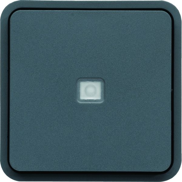 cubyko Poussoir à fermeture 1F à voyant témoin associable gris IP55 WNA023