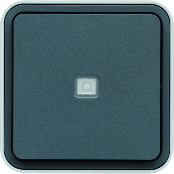 Bouton poussoir 1O/1F lumineux Cubyko étanche IP55 gris pose en saillie WNC021