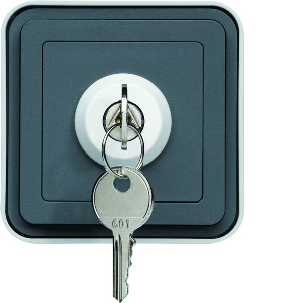 cubyko Interrupteur à clé 2 positions saillie gris IP55 WNC035