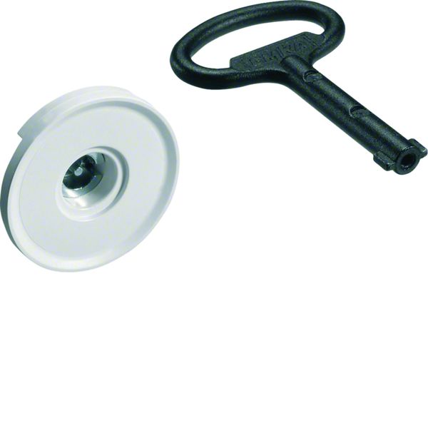 Serrure à panetton double 3mm chromée avec 1 clé pour armoire univers IP44/54 FZ449N