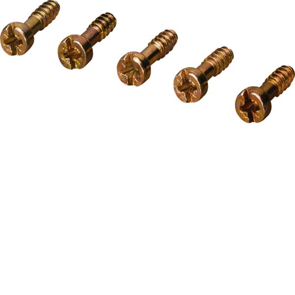 Vis taraudeuse 3,5x12,0 +/- PZ1, pour la fixation du borne en laiton KZ062