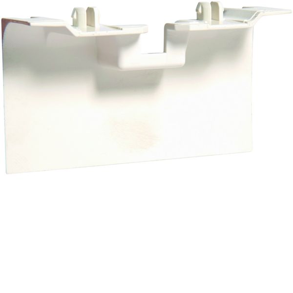 Pièce de recouvrement de support d'appareillage pour plintheSL20115 Pure SL20115AF9016