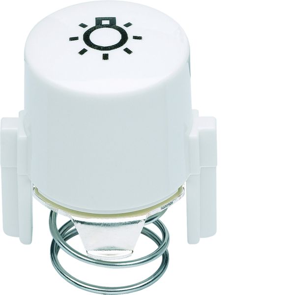 1930 Enjoliveur de poussoir à voyant E10 symbole lumière WMV783L