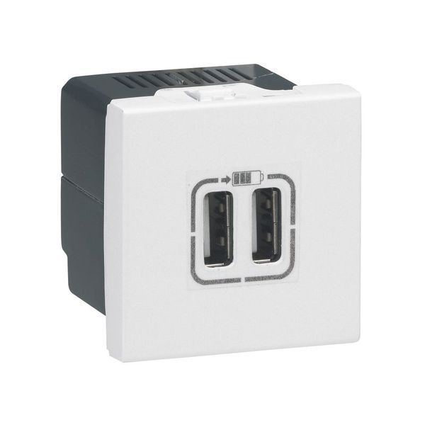 Chargeur 2 Usb Mosaic Type-A 2,4A 12W -2 Modules Blanc legrand 077594