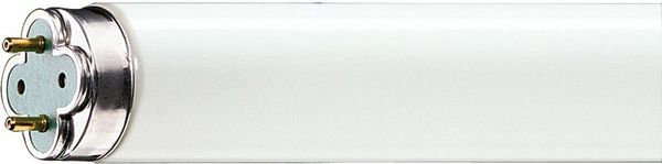 LED Globe 120W G120 E27 WH 230V ND 1CT_4 567616 Philips