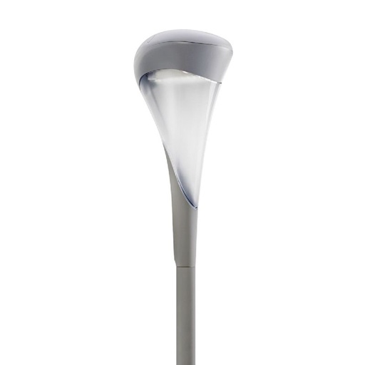 [PHI490324] TownTune lyre ZDP261 DR 490324 Philips