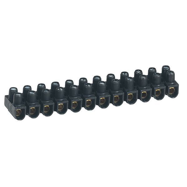 Borne De Raccordement Nylbloc 12 Plots De 6 Mm² 41 A Noi legrand 098431
