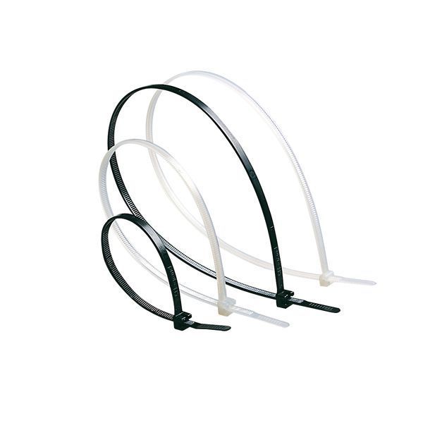 Collier Colring Noir À Denture Intérieure Largeurs 3,5Mm Et legrand 032020