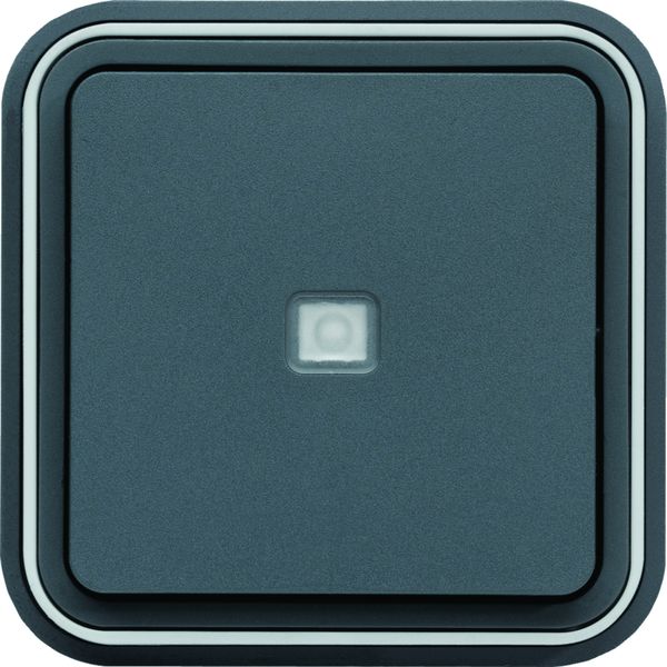 cubyko Poussoir 1F à voyant témoin encastré à griffes gris IP55 WNE023G
