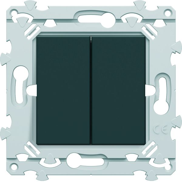 Double InterBP Duo Essensya va et vient ou bouton poussoir Anthracite WE044A