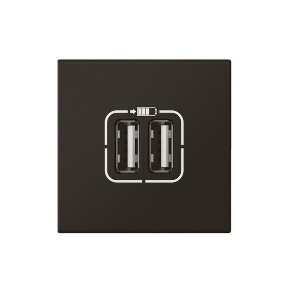 Chargeur 2 Mod 2 Usb A+A 2.4A 12W Noir Mat legrand 079194L