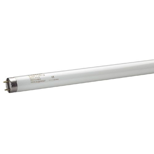 Tube T8 F25W 33/640 Blanc Industrie 818mm 4300°K - L70063