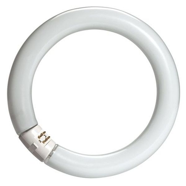 Circline T8 40W 33/640 Blanc Industrie G10Q 4300°K - L76103