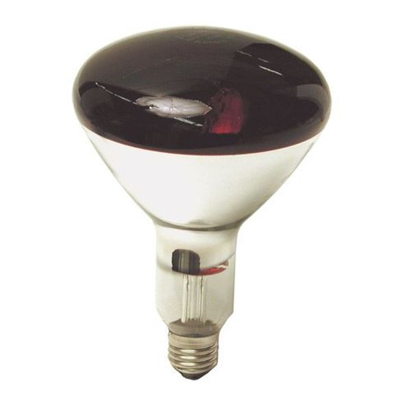 R125 Infra- Rouge 150W Dépolie E27 230V - L9302