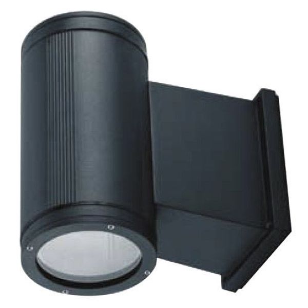 Applique PRO Iodure Métallique G12 70W noir IP65 230V