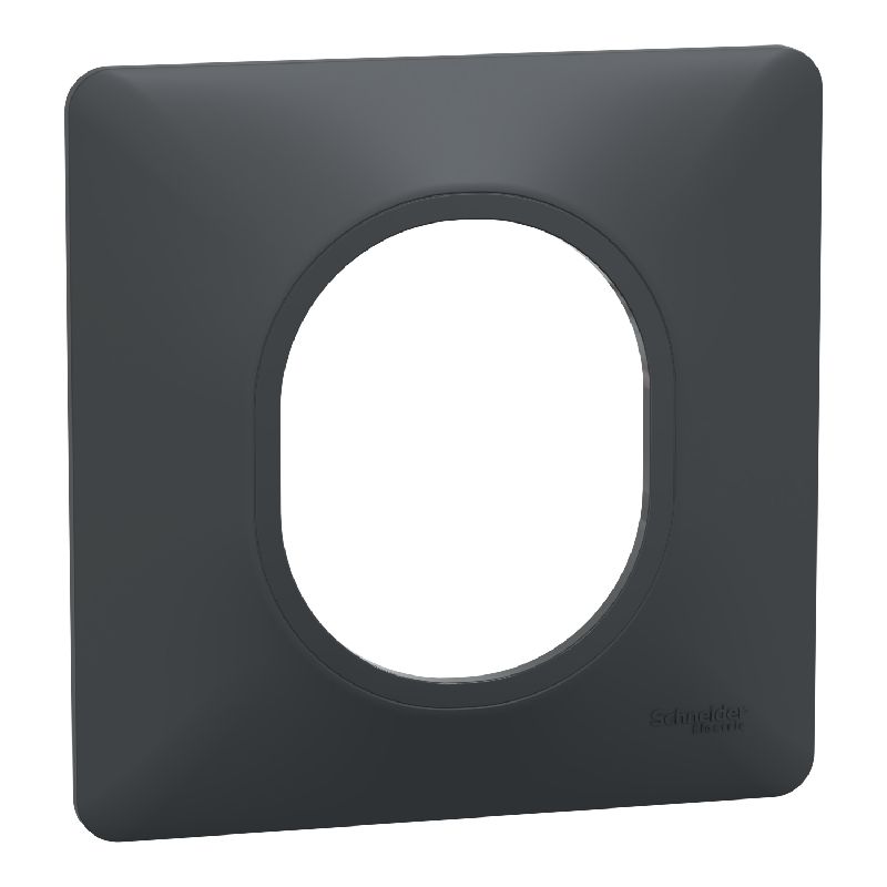 Ovalis - Plaque de finition - 1 poste Anthracite S340702