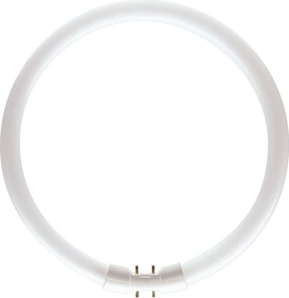 MASTER TL5 Circular 55W_840 642516 Philips