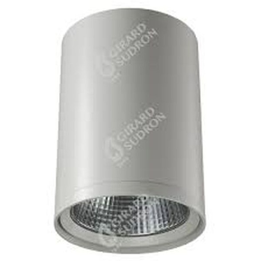 [GS169168] Pandore spot led 30w 4000k 3000lm 24° blanc 169168