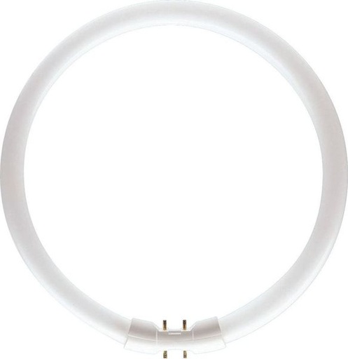 [PHI642516] MASTER TL5 Circular 55W_840 642516 Philips